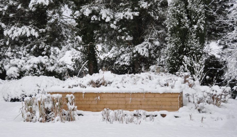 Les filtres plantés, aussi performants en hiver - La phytoépuration en  détail