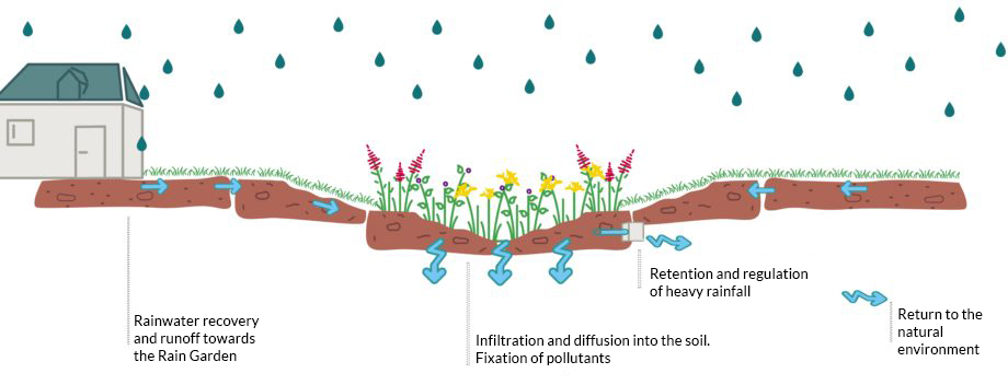 Rains garden princip