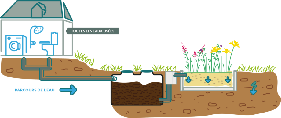 Fonctionnement Jardin d'Assainissement Carex